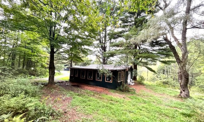 Phoenicia Cottage | Charming Little Cottage with Mountain Views and Cozy Fireplace