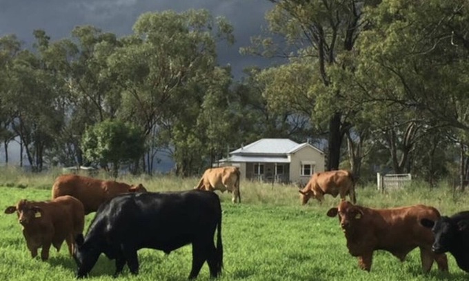Goomburra Cottage | Charming Queenslander Cottage in peaceful setting