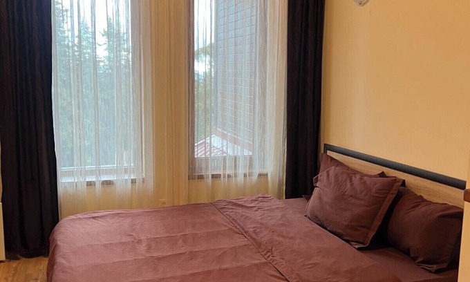 Pamporovo Apartment | Charming Ski-In Studio with Fireplace