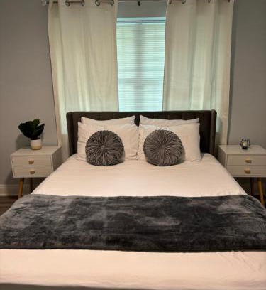 Carrollwood Apartment | Charming Tampa 2BR - Near Busch Gardens & Zoo