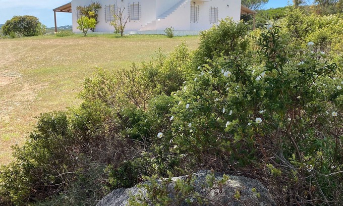 Santa Teresa di Gallura Villa | Charming villa located in front of the Maddalena archipelago
