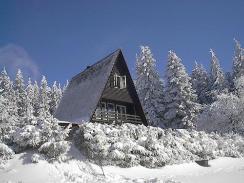 Cenkovice Ski Chalet | Chata Čenkovice