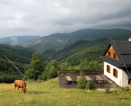 Oscadnica Ski Chalet | Chata Marguška - U Fera