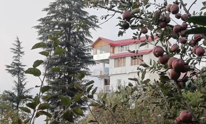 Kumharsain Bed & Breakfast | Cheerful rooms | Dyar Koul | Kotgarh 2