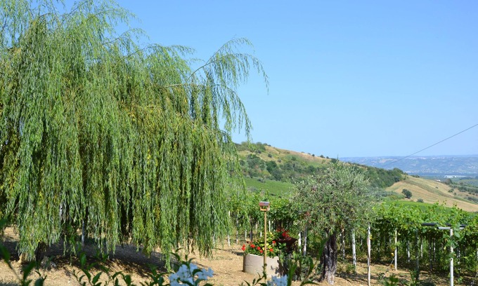 Lanciano Bed & Breakfast | Cherry Season