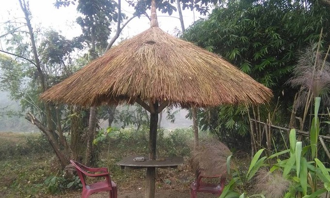 Meghauli Cabin | Chital Lodge