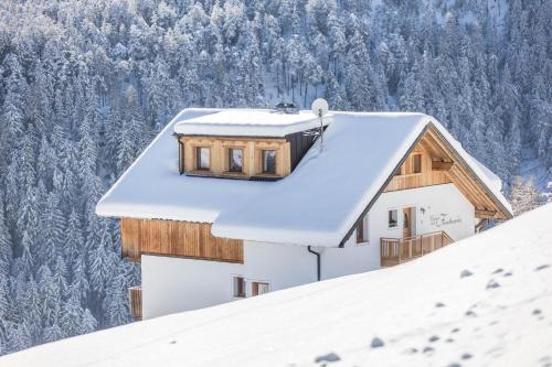 San Martino in Badia Apartment | Ciasa Funtanies Sas dla Crusc