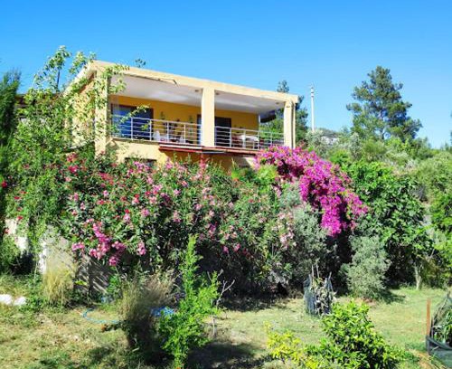 Cirali Apartment | Cirali Sunny House
