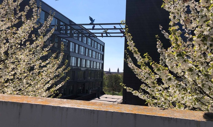 Landau in der Pfalz Apartment | City apartment in Landau - SUP APP SO