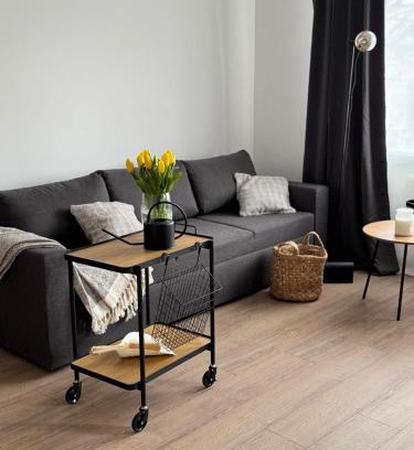 Jelgava Apartment | City Center Cozy Apartment
