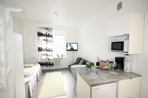 Jyvaskyla Apartment | City Centre Apartment Puistokatu 29