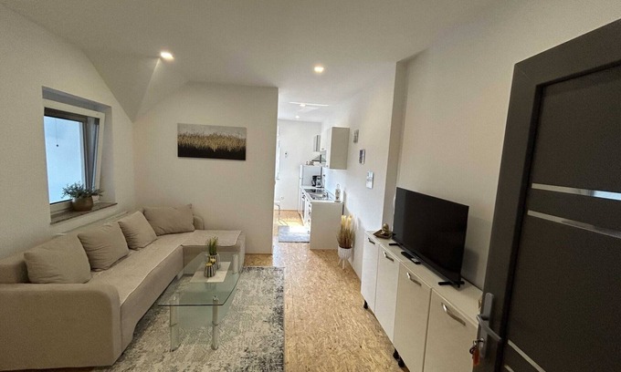 Siska District Apartment | City Modern and Vibrant Apartments Ljubljana - Standard One Bedroom Apartment