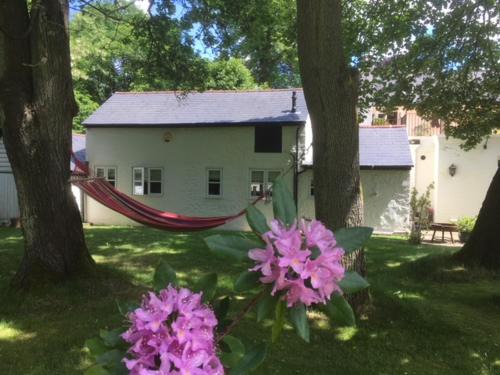 Churt Cabin | Claremont Coach House