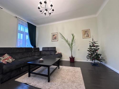 Old Town Apartment | Classy green Old town apartment