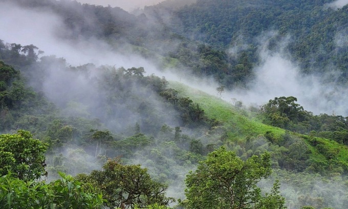 Nanegalito House | Cloud forest retreat
