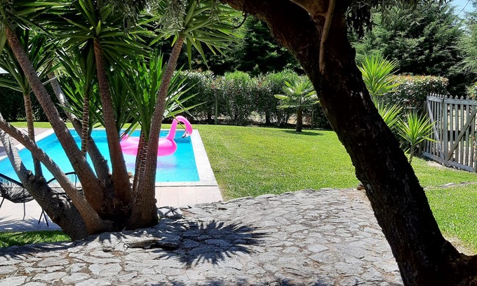 Carregal do Sal Cottage | Country house with pool, barbecue and green spaces