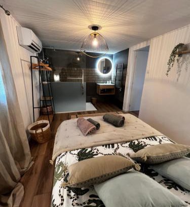 Puget Apartment | Cocon cosy appart romantique, jacuzzi piscine