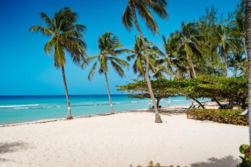Hastings Hotel | Coconut Court Beach Hotel