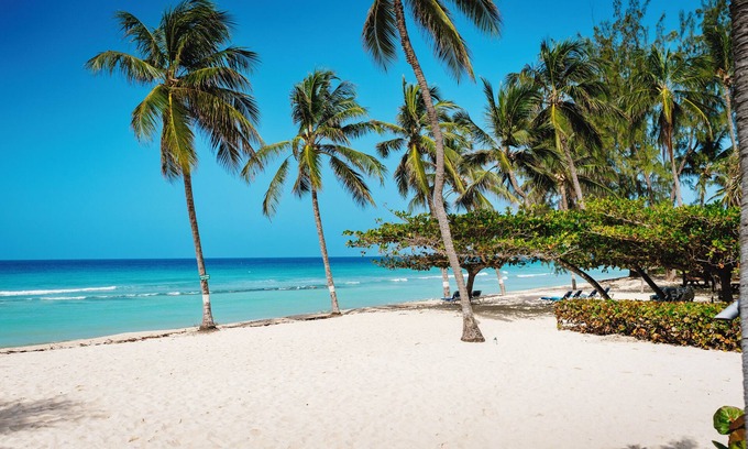 Hastings Resort | Coconut Court Beach Hotel
