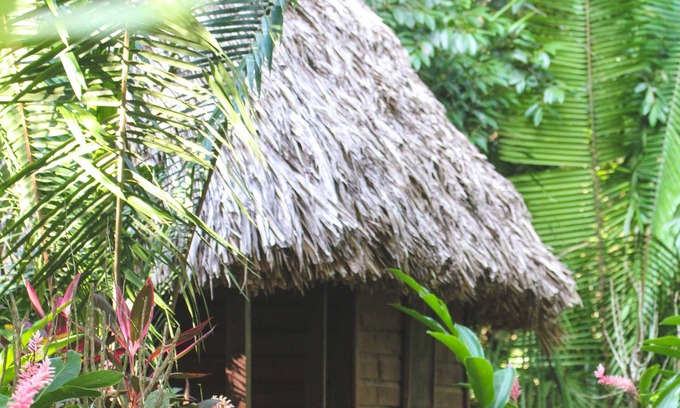 Bullet Tree Falls House | Cohune Palms River Cabanas: Private river cabanas just 2.5 mi from San Ignacio