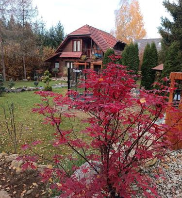 Porumbacu de Jos Ski Chalet | Coliba Padurarului