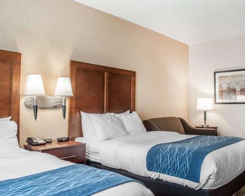 Hamburg Hotel | Comfort Inn & Suites Hamburg - Buffalo South