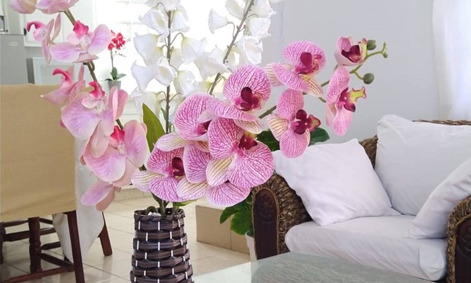 St. George's Apartment | Comfort Stay Vacation Rental