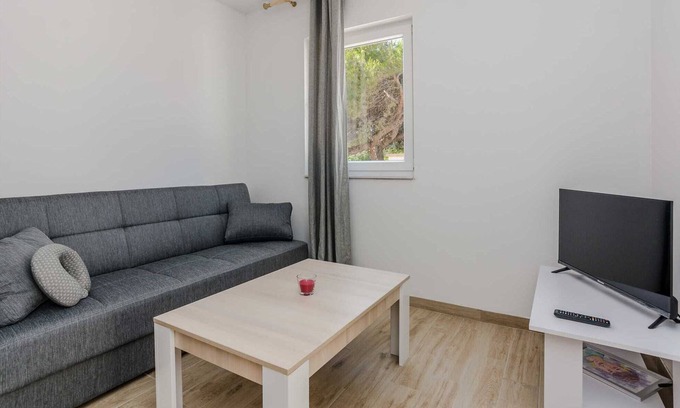 Vir Apartment | Comfortable apartment for 2-4 people | air conditioning, internet, grill |120 m from the sea