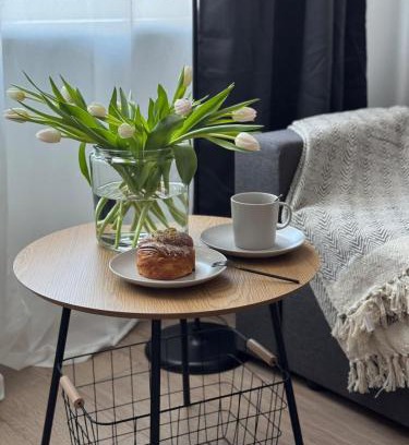 Jelgava Apartment | Comfy Center Apartment