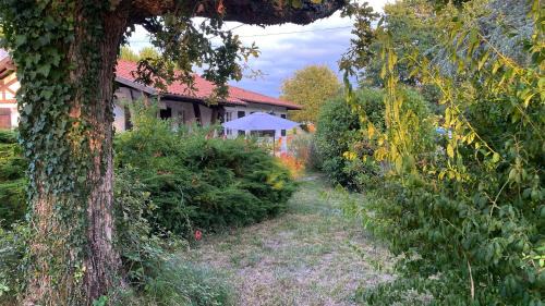 Sainte-Eulalie-en-Born House | Cool Landes
