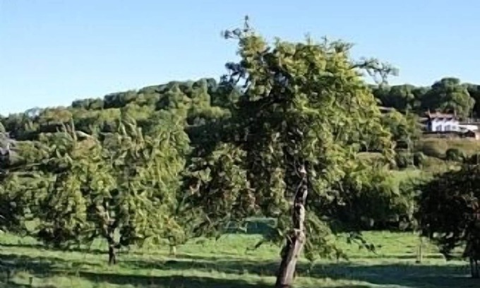 Woolhope House | Cosy and Comfortable Cottage with the Best Views of the Wye Valley