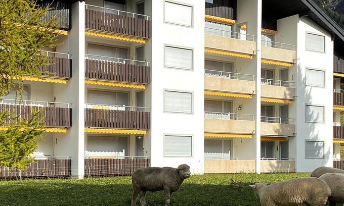 Parpan Apartment | Cosy apartment for 6 people with WIFI, TV and balcony