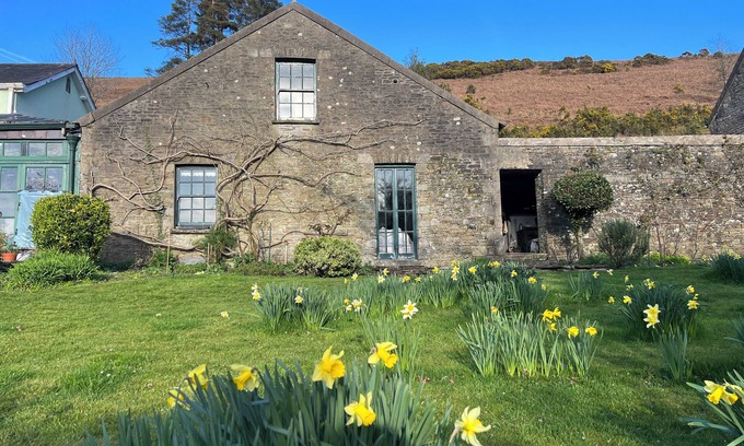 Margam Cottage | Cosy, colourful farm cottage