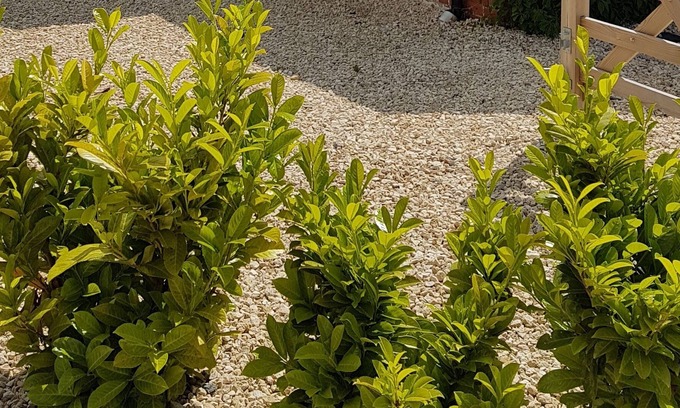 Trowbridge Cottage | Cosy Cottage in Wiltshire