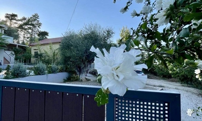 Pylos-Nestoras Cottage | Cosy cottage maisonette -5 min from the beach!
