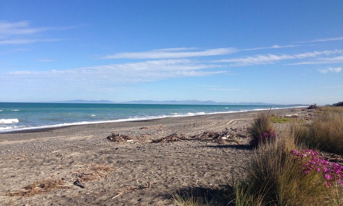Leithfield House | Cosy country cottage at Leithfield Beach, child friendly