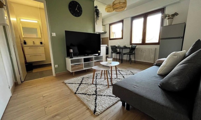 Koenigshoffen Est Apartment | Cosy Rent Strasbourg appartement wifi, terrasse