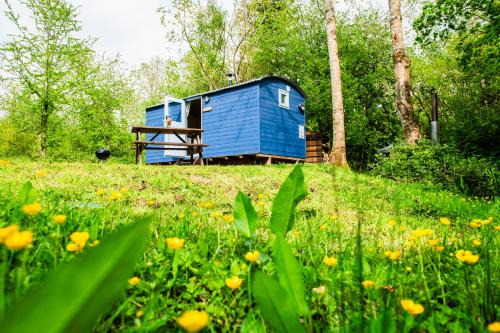 Acton Scott House | Cosy Shepherd's Hut with Hot Tub