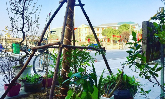 Co To House | CoTo Family Homestay