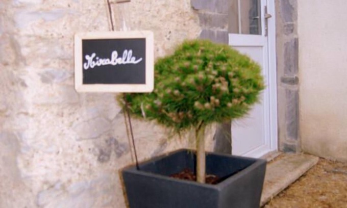 Pannece House | Cottage "MIRABELLE" in the countryside with swimming pool