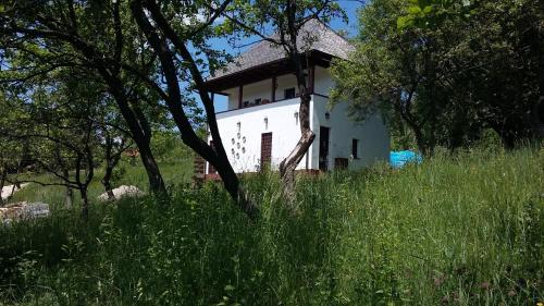 Campulung House | Cottage Poe