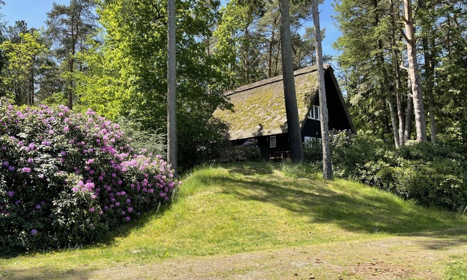 Sudheide House | Cottage with pond on 16.000m² in nature