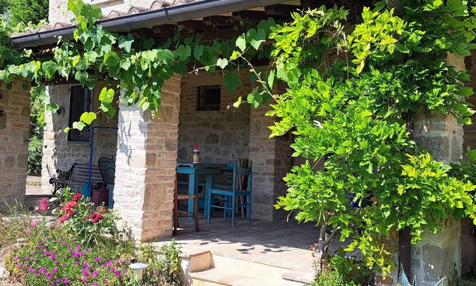 Umbertide House | Cottage with pool and veranda surrounded by olive trees.