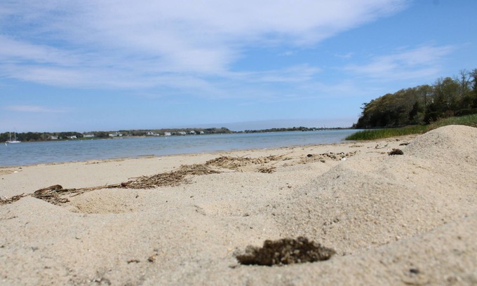 Cotuit House | Cotuit Coastal Escape with private beach. RPMS117