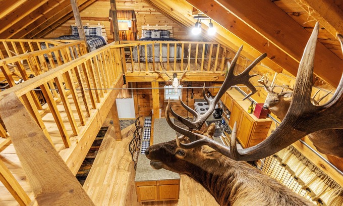 Marshland Cabin | Country Cabin Guest House