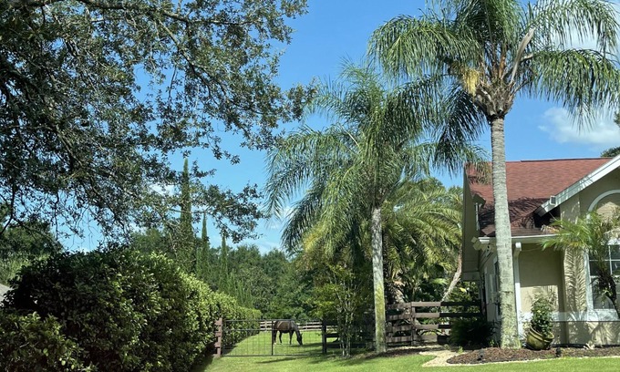 Plymouth House | Country Estates close to Disney resorts & Parksn