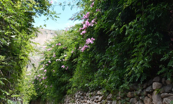 Urubamba Cottage | Country House at Sacred Valley Urubamba