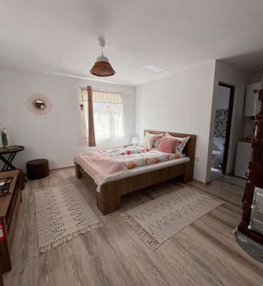 Densus House | Country House Hățăgel