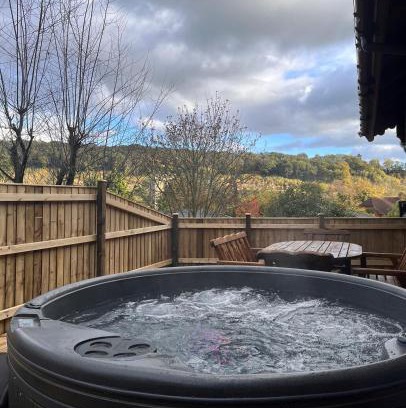 Aymestrey Apartment | Countryside 3 Bedroom Log Cabin With Private Hot Tub - Ash