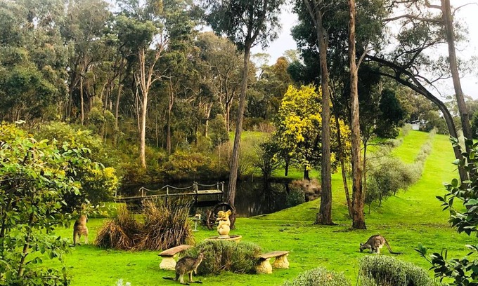 Hepburn Apartment | Countryside Retreat romantic tranquil native wildlife township Hepburn - Daylesford